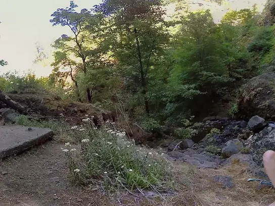Reality XXX Video